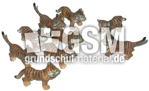 Tiger7+2.jpg